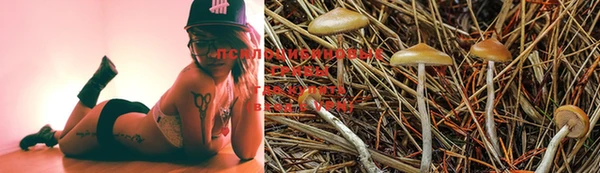 каннабис Магас